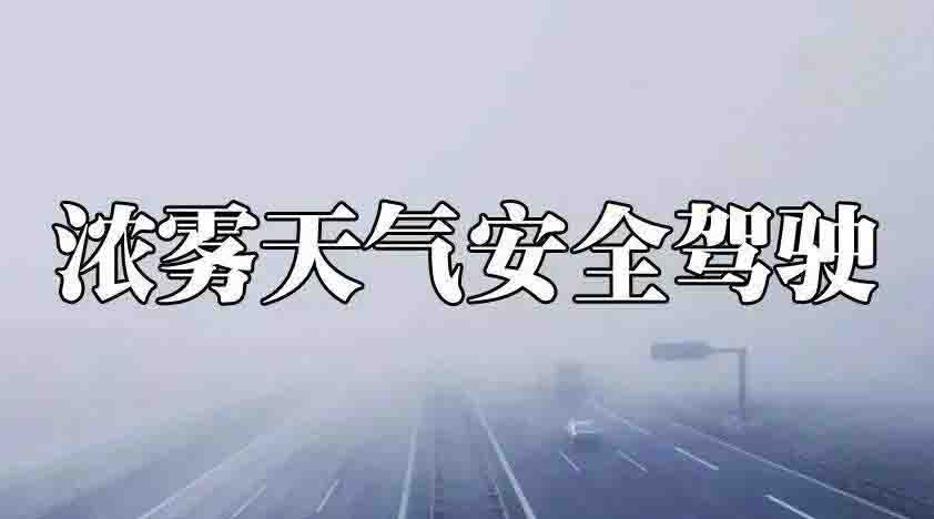 霧天行車注意事項一定要知道！